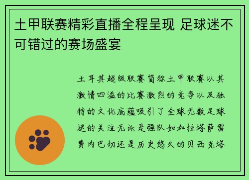 土甲联赛精彩直播全程呈现 足球迷不可错过的赛场盛宴